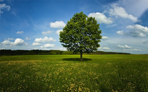 avons nous des devoirs envers la nature
