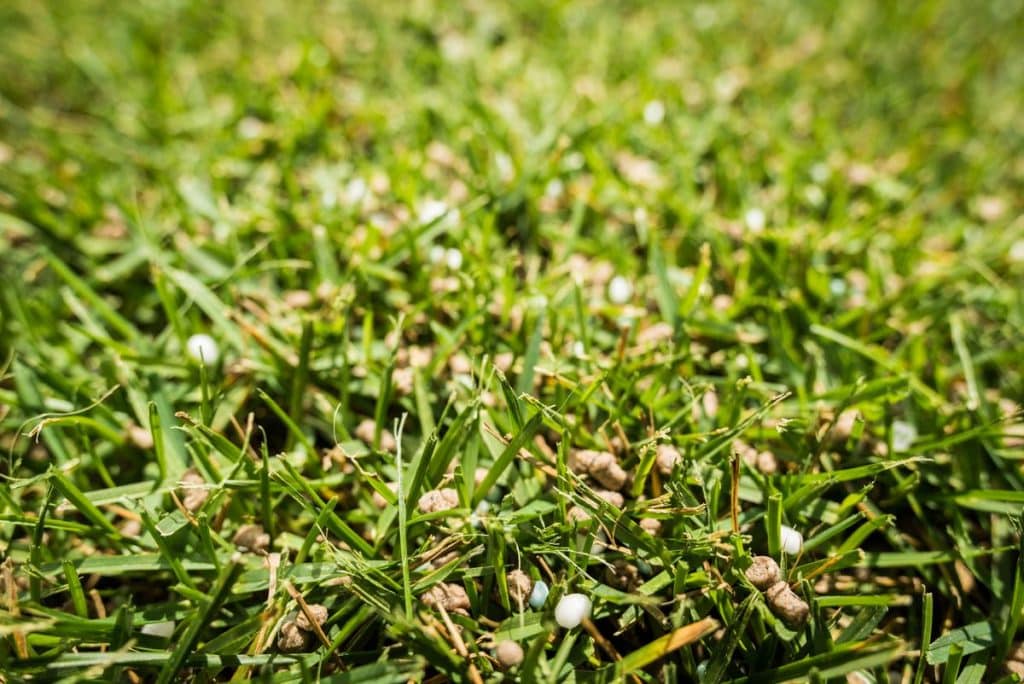 engrais organiques pour gazon