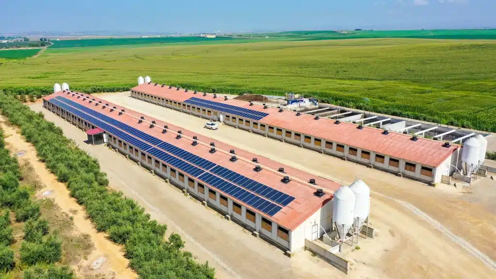 hangar agricole photovoltaïque