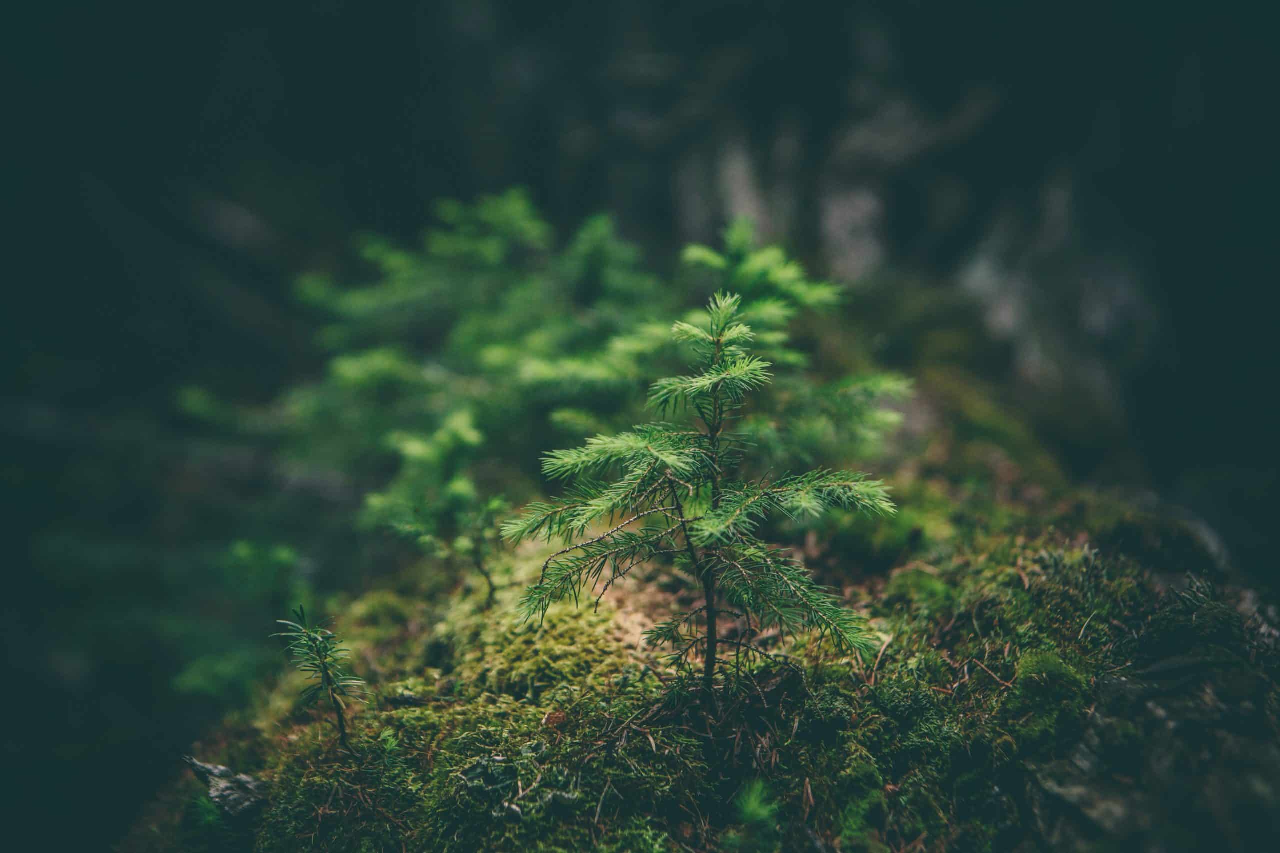 jeux éducatifs sur l’environnement