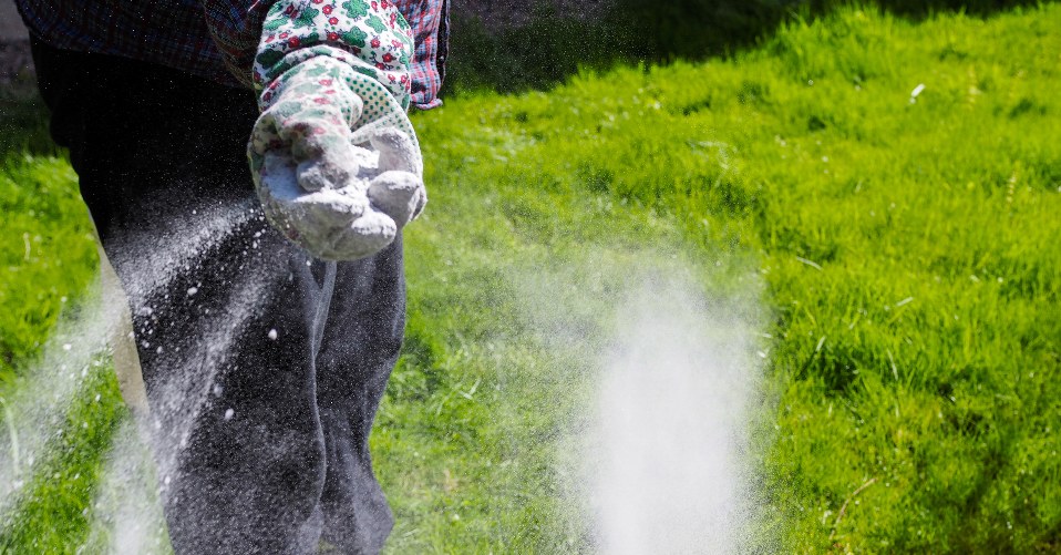 la toxicité des engrais pour gazon