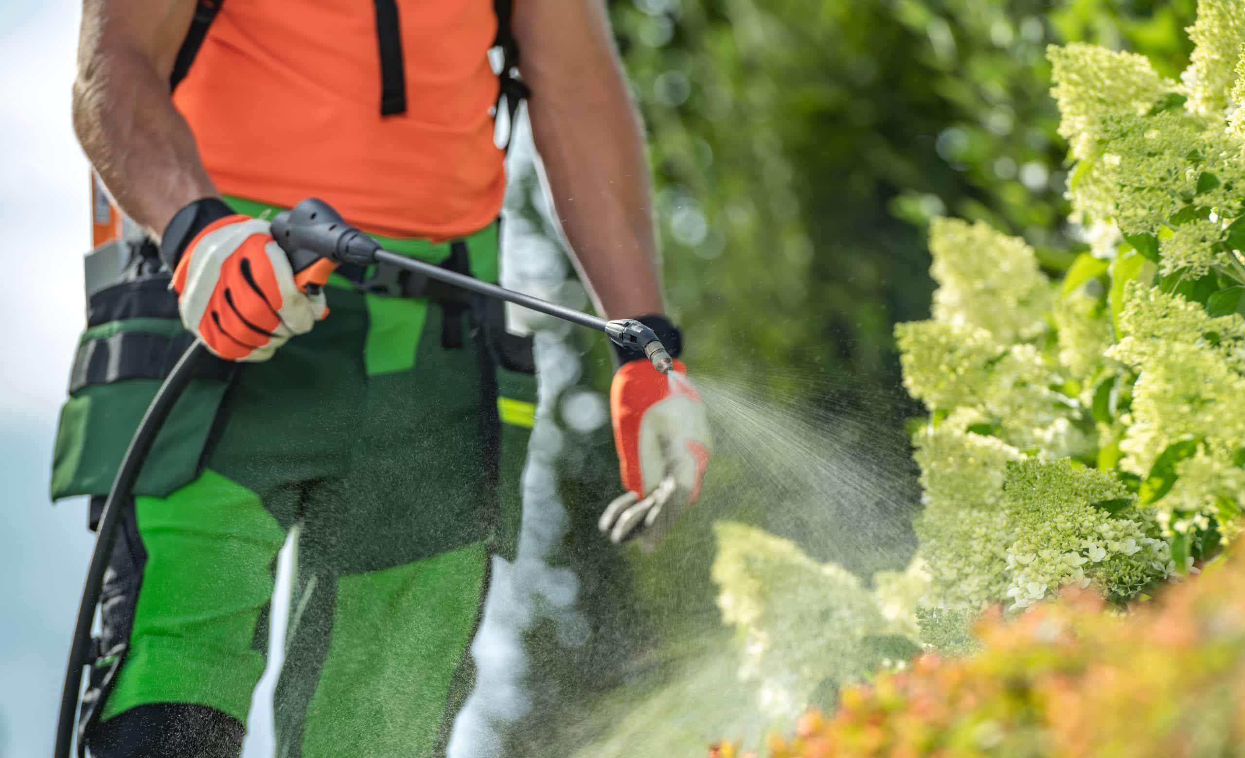 Quel dosage de glyphosate pour 5 litres d'eau