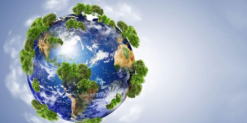 qu'est ce que le quiz de la journée de la terre google