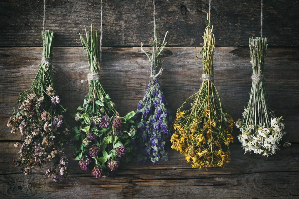 sécher des fleurs mode d’emploi