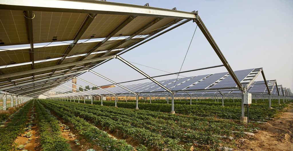bâtiment agricole arkolia energies