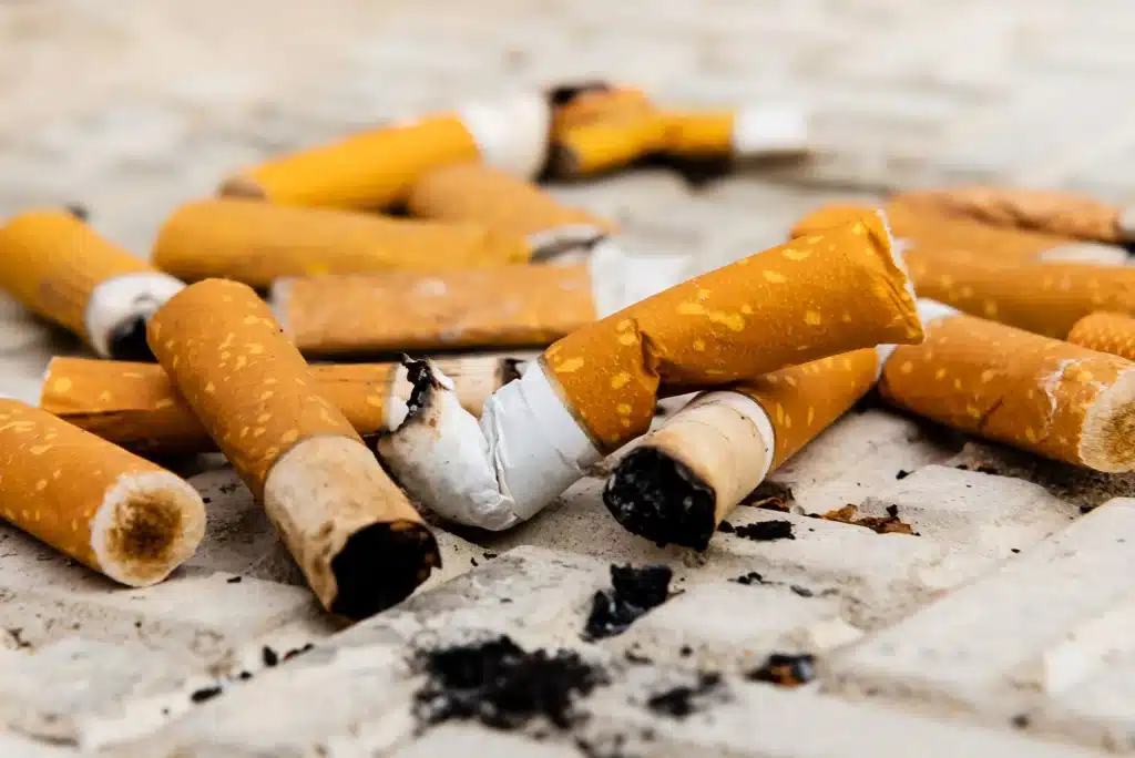 composants d'un mégot de cigarette