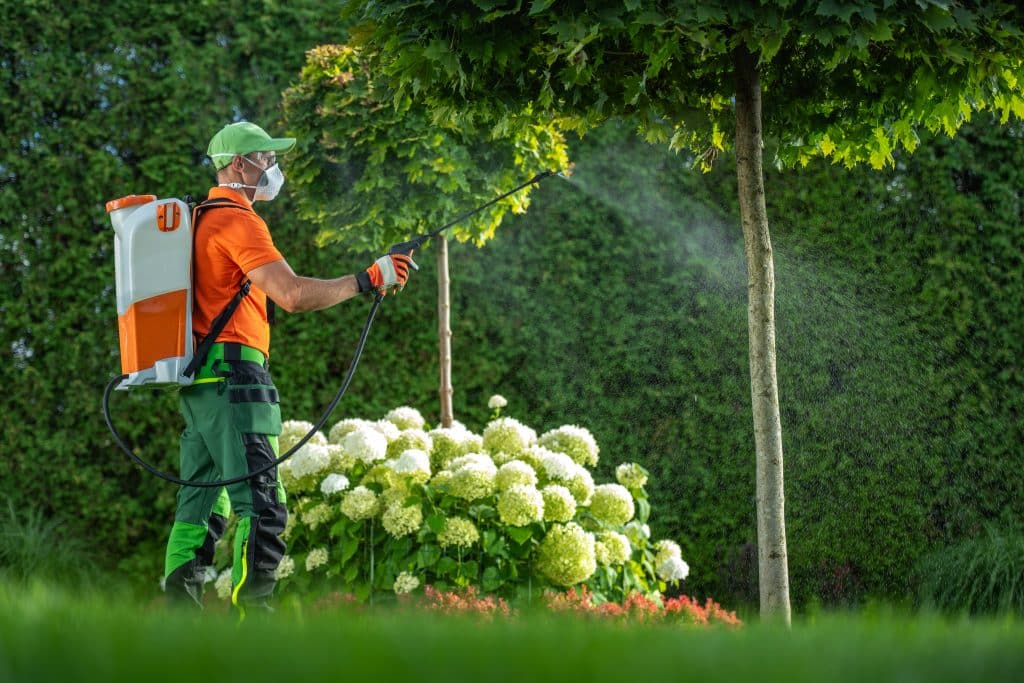 dosage de glyphosate pour 5 litres d'eau