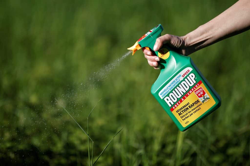 glyphosate Roundup