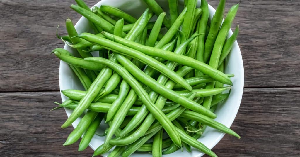 haricot