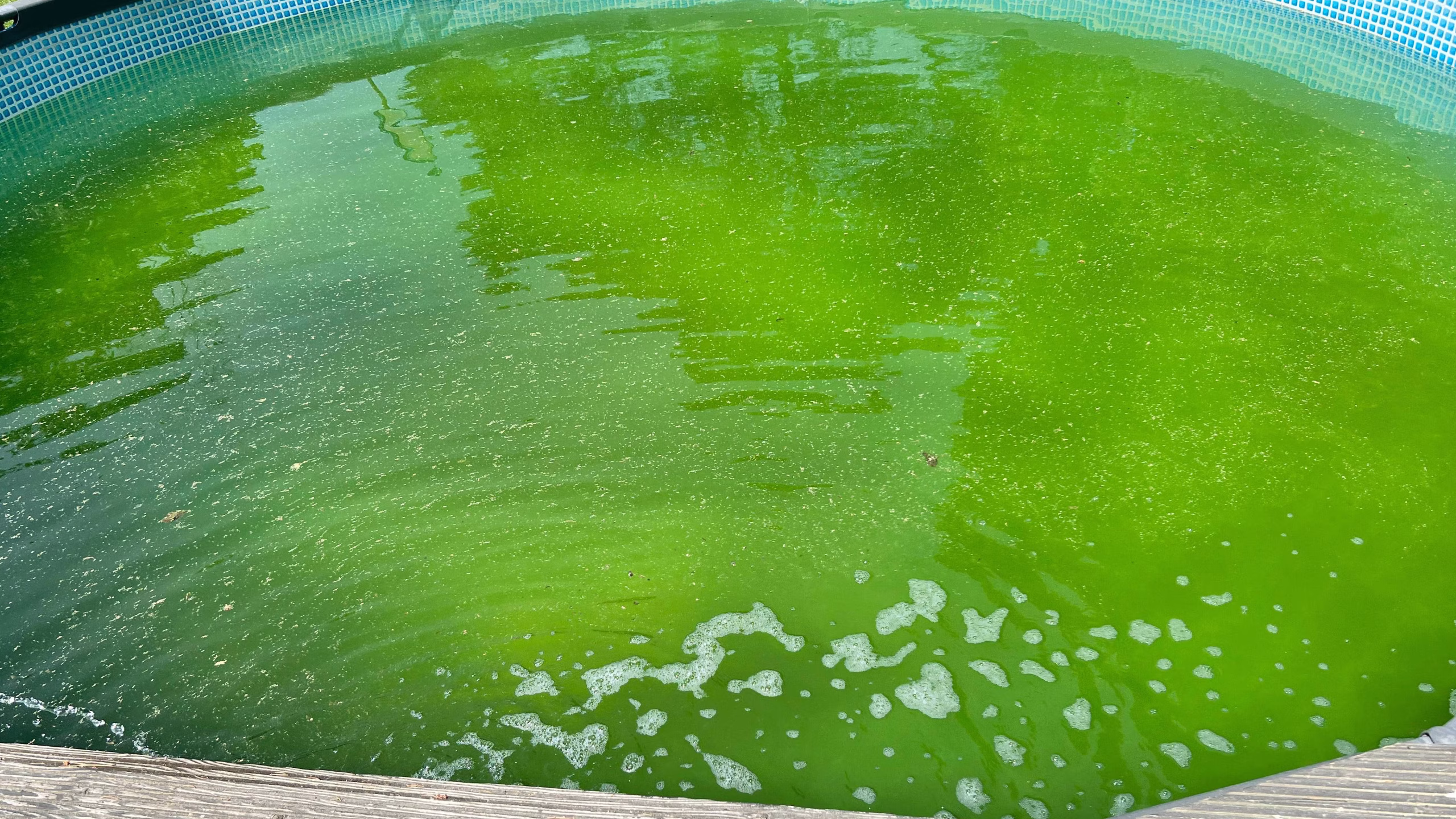 quels sont les remèdes de grand mère pour une eau de piscine verte