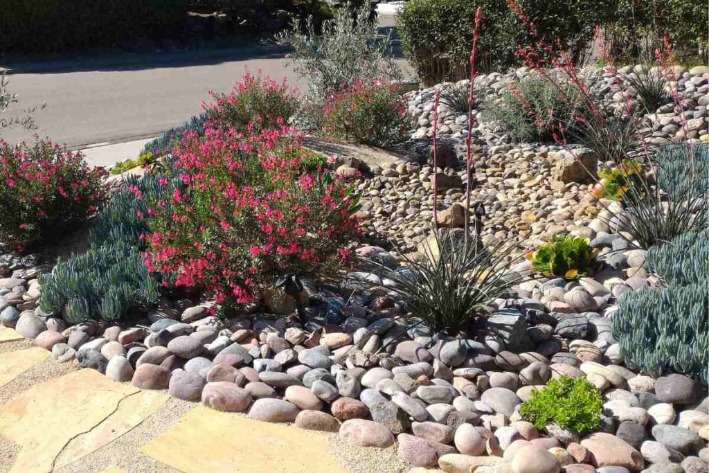 xeriscaping