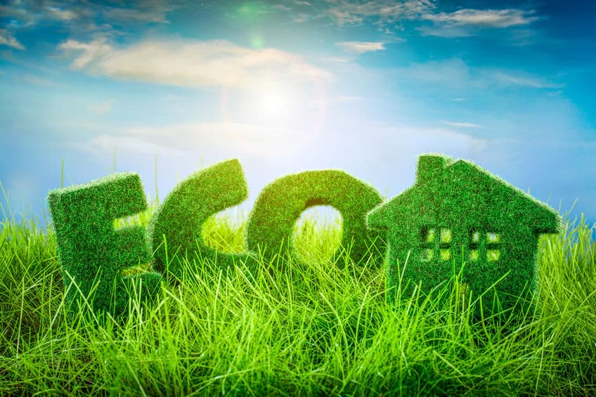 eco concept
