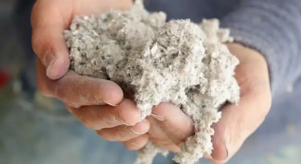 ouate de cellulose