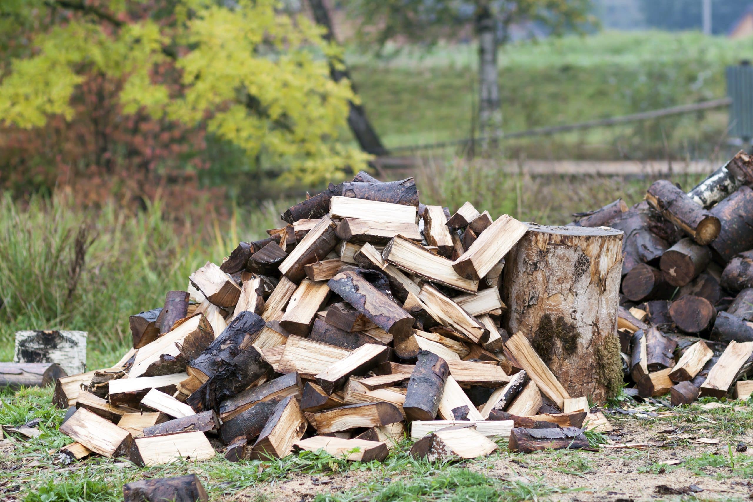 Cette technique méconnue permet d'avoir du bois de chauffage gratuitement