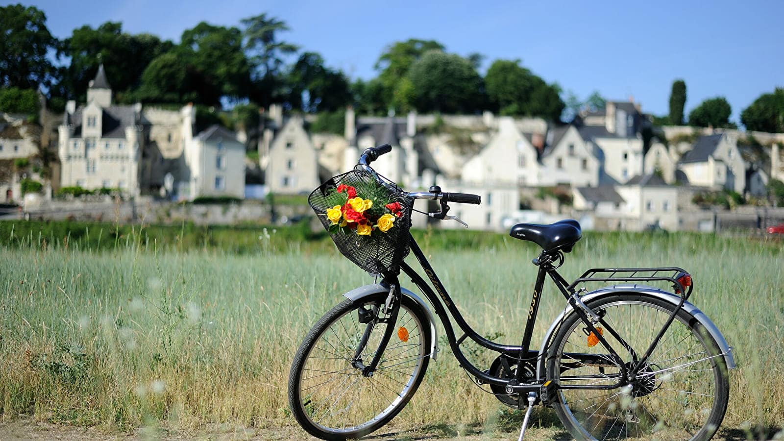 comment créer une ville plus verte grâce à la mobilité douce