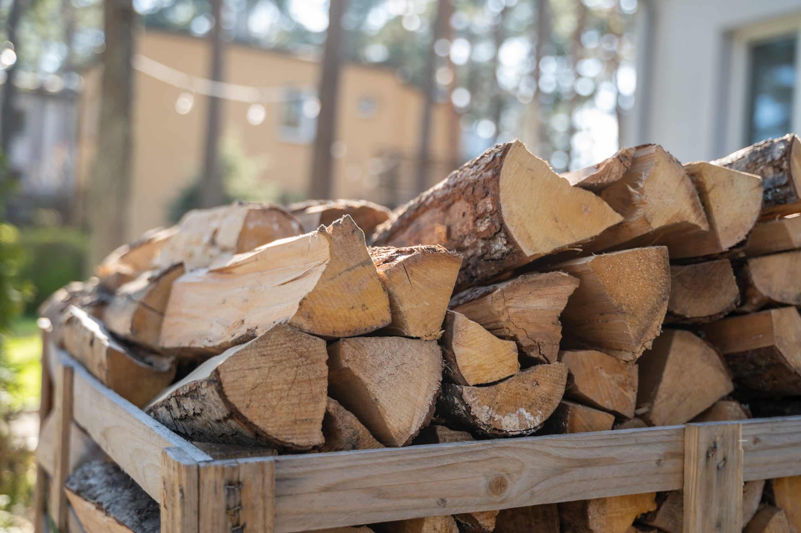 Les 6 meilleures essences de bois à connaître absolument avant d'acheter pour se chauffer cet hiver