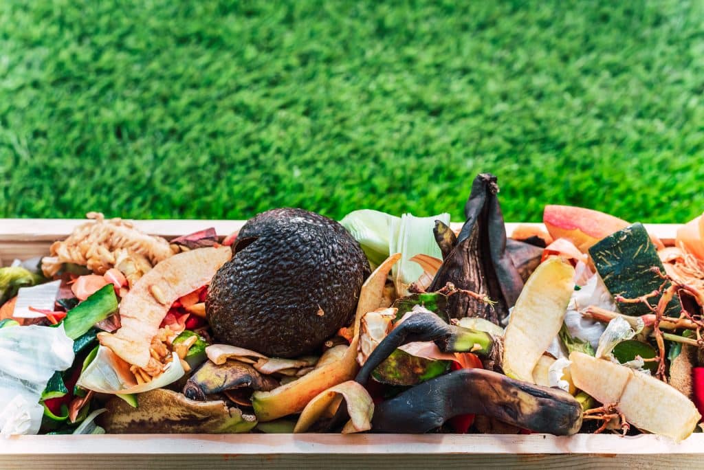 Matériau pour le compostage des déchets alimentaires et leur transformation en un sol riche en nutriments pour les plantes