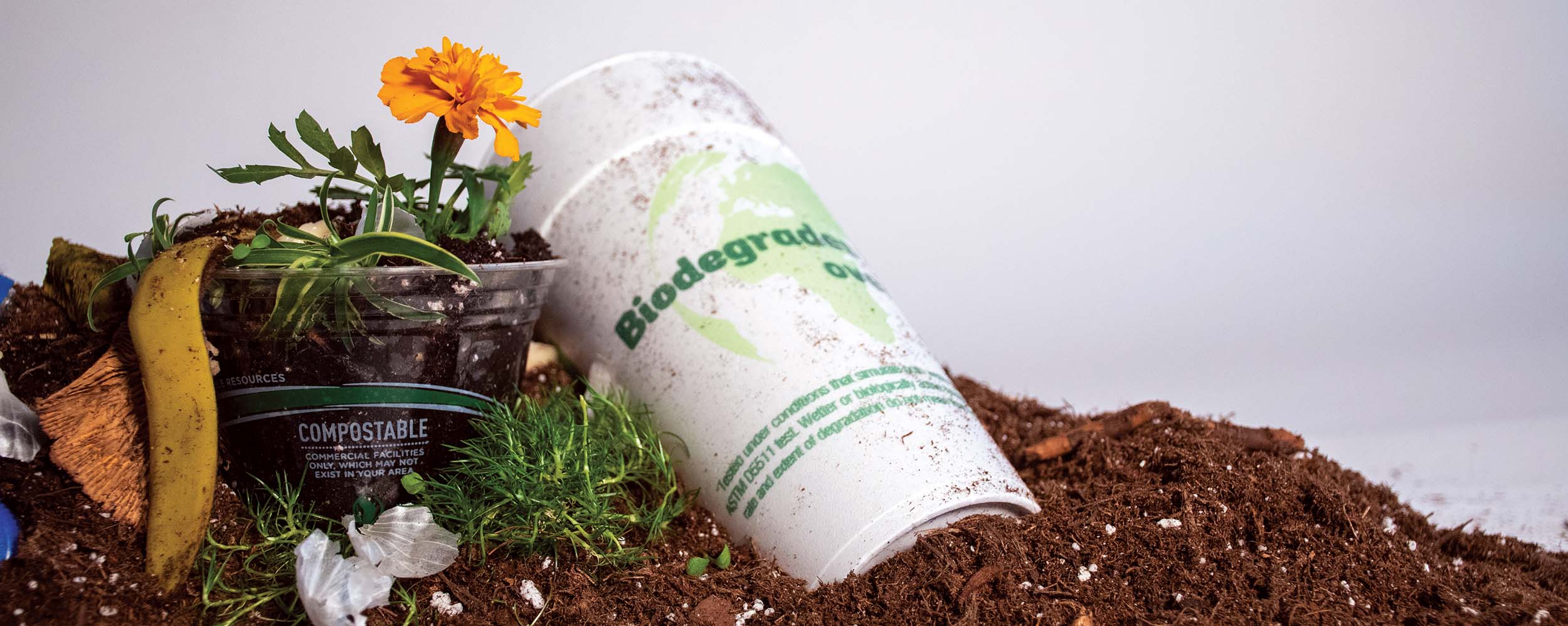 plastiques compostables l'illusion écologique révélée par les scientifiques