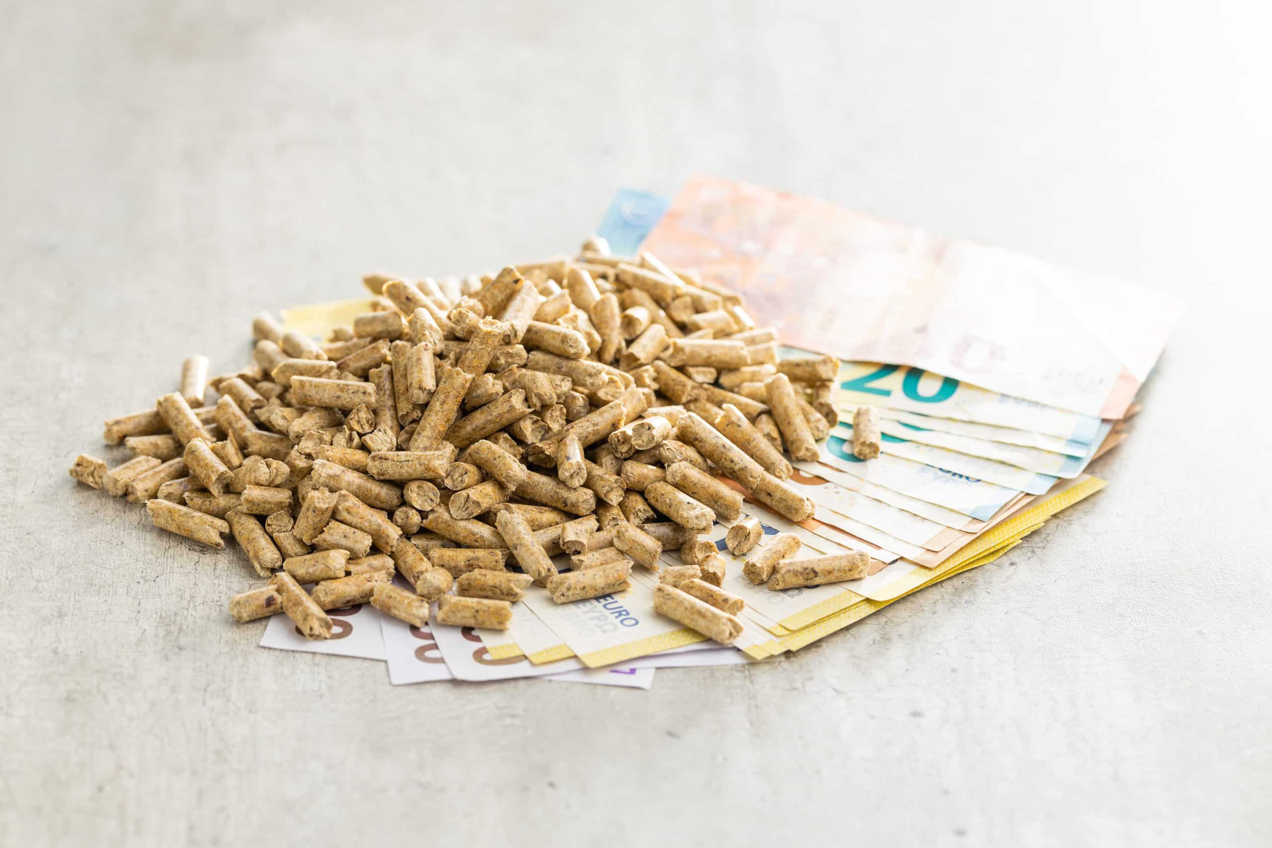 Poêles à pellets ce spécialiste révèle si c'est encore une option économique