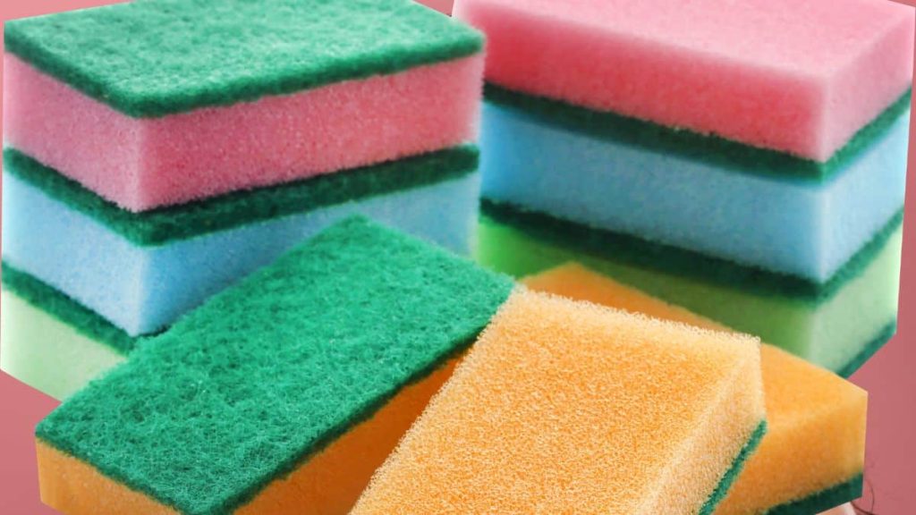 pourquoi les couleurs des éponges sont elles importantes