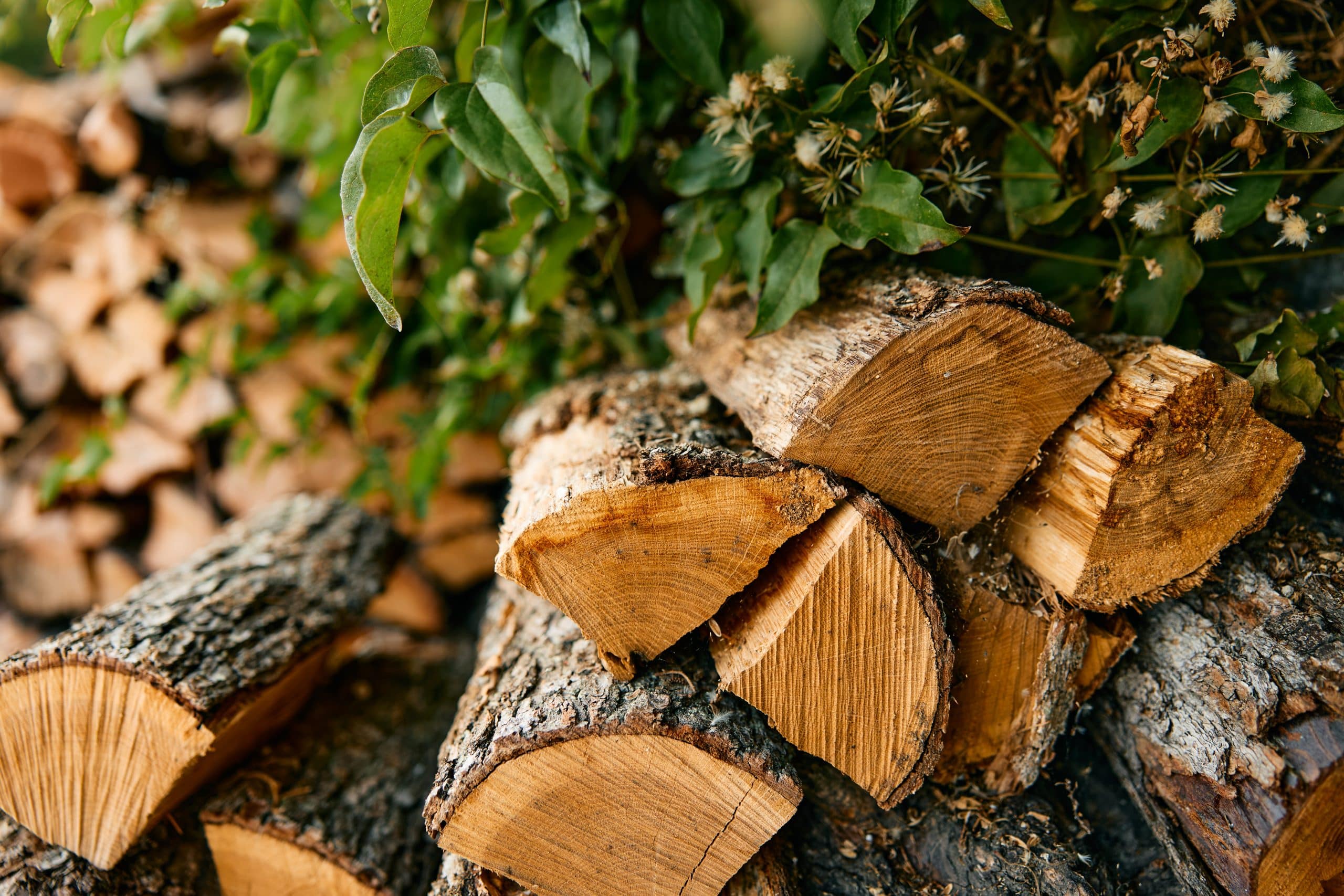 Quel est le prix d’un stère de bois en 30 cm