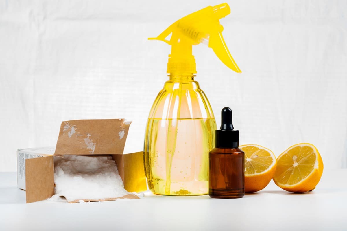 quels sont les répulsifs naturel contre les fourmis
