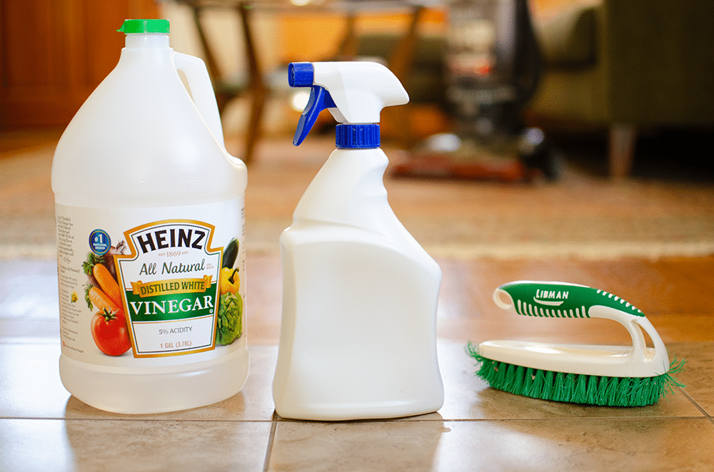 vinaigre blanc contre les fourmis