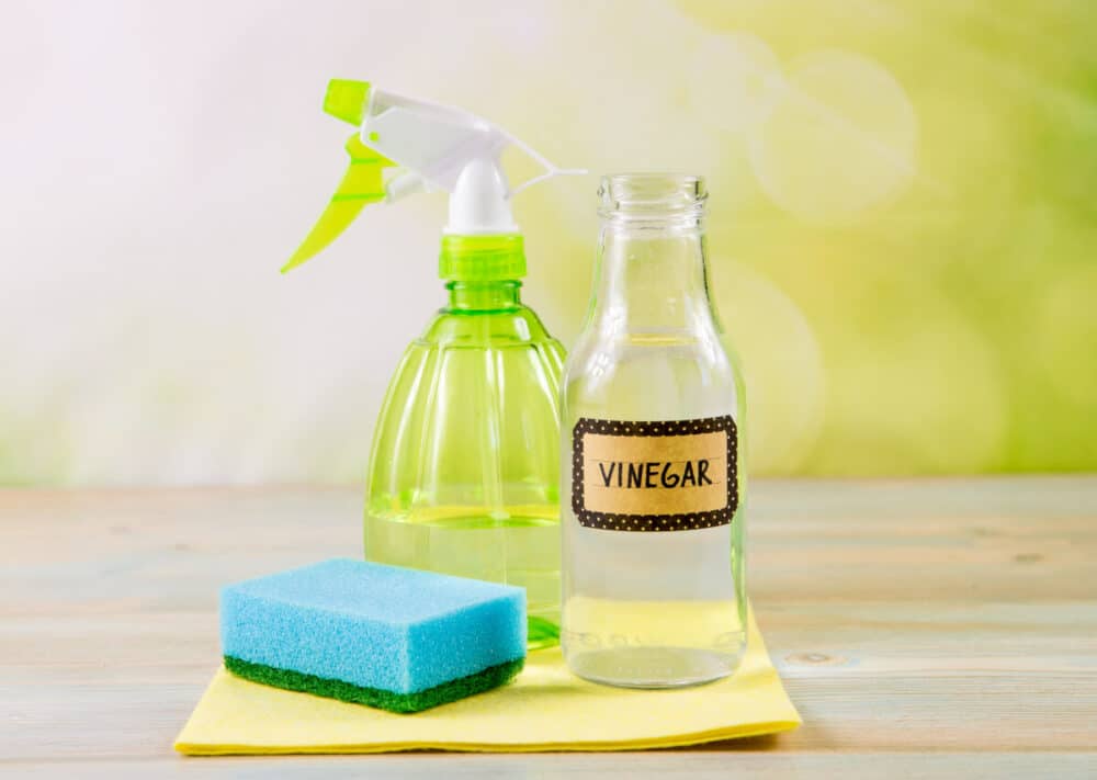 vinaigre contre les fourmis