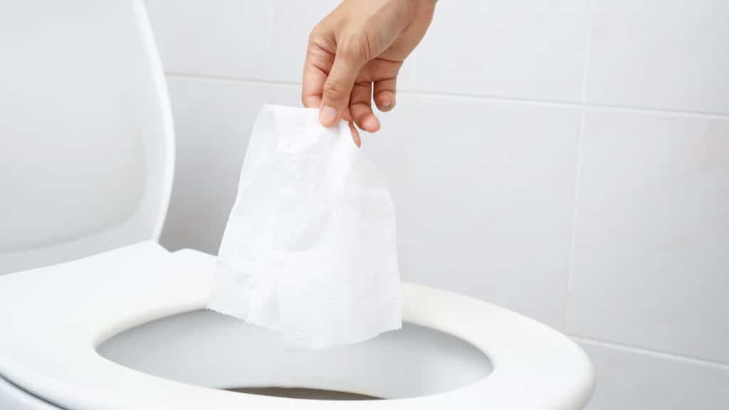 importance du bon choix de papier toilette