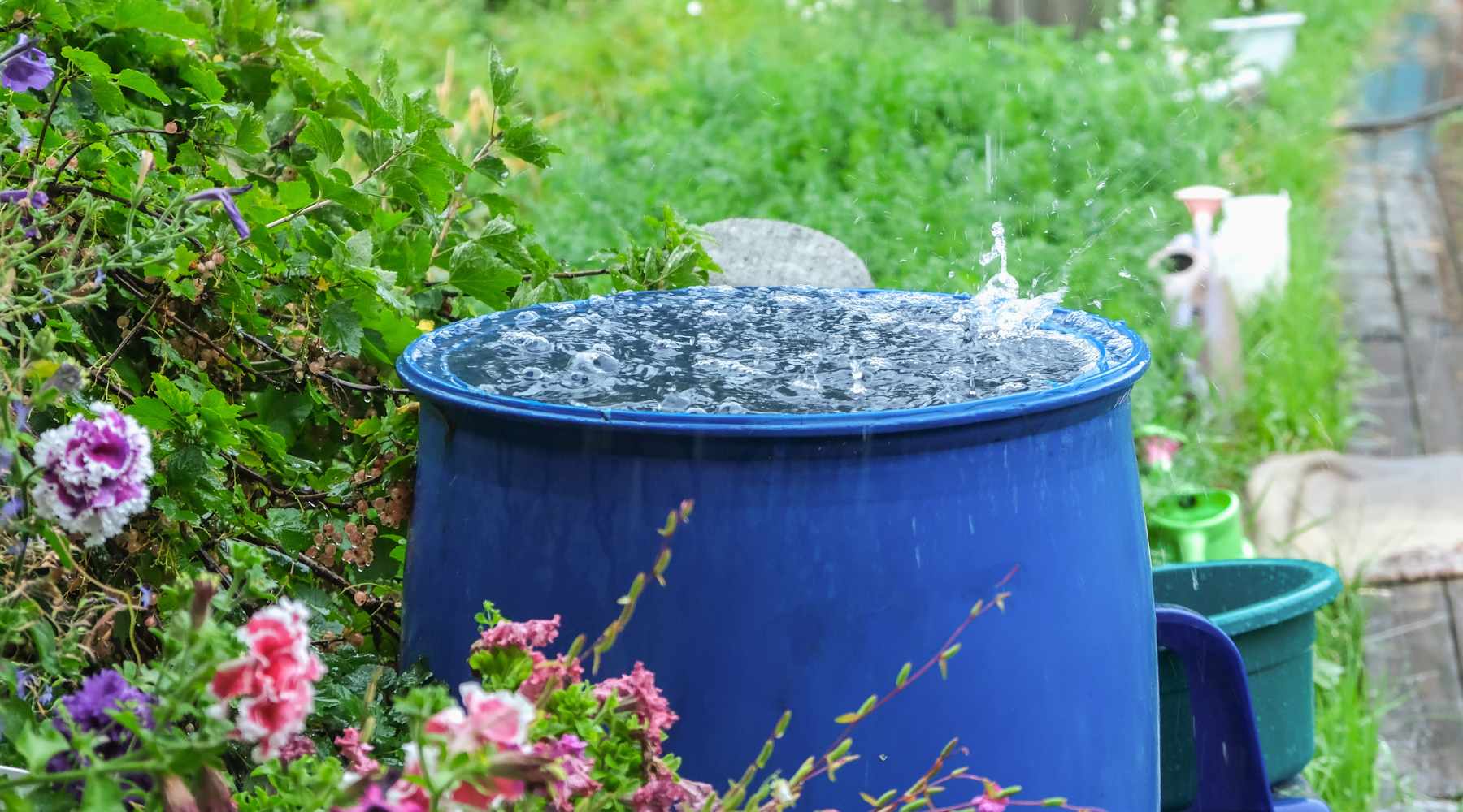 inconvénients d’un récupérateur d’eau de pluie