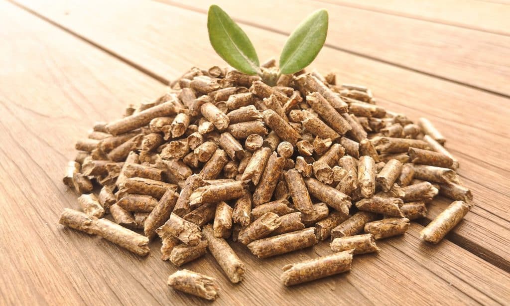 pellets de bois
