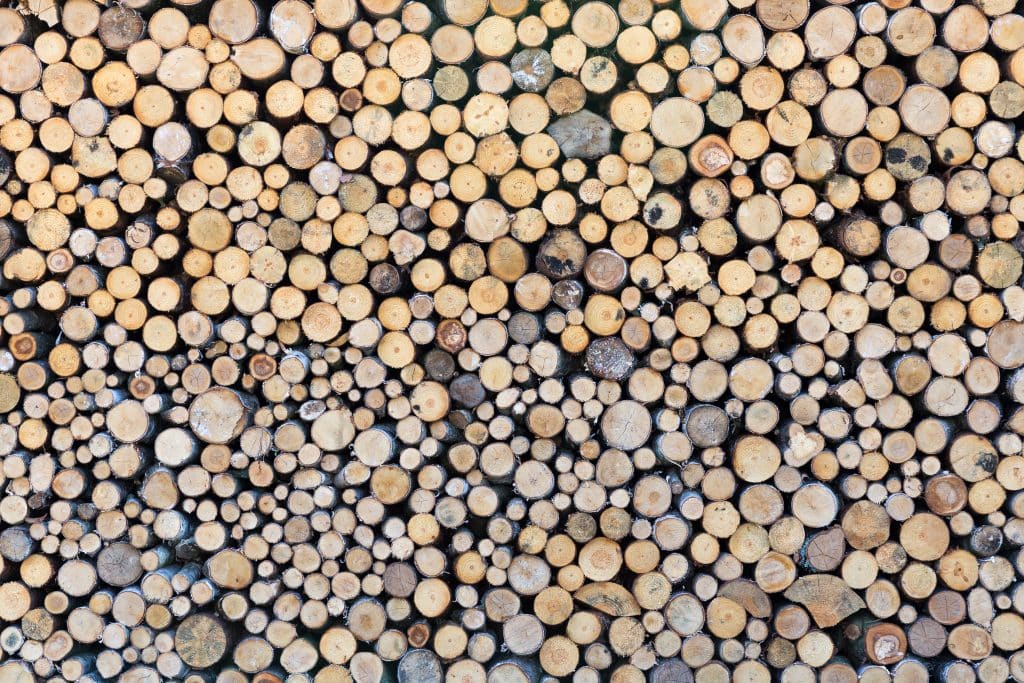 stère de bois en 50 cm