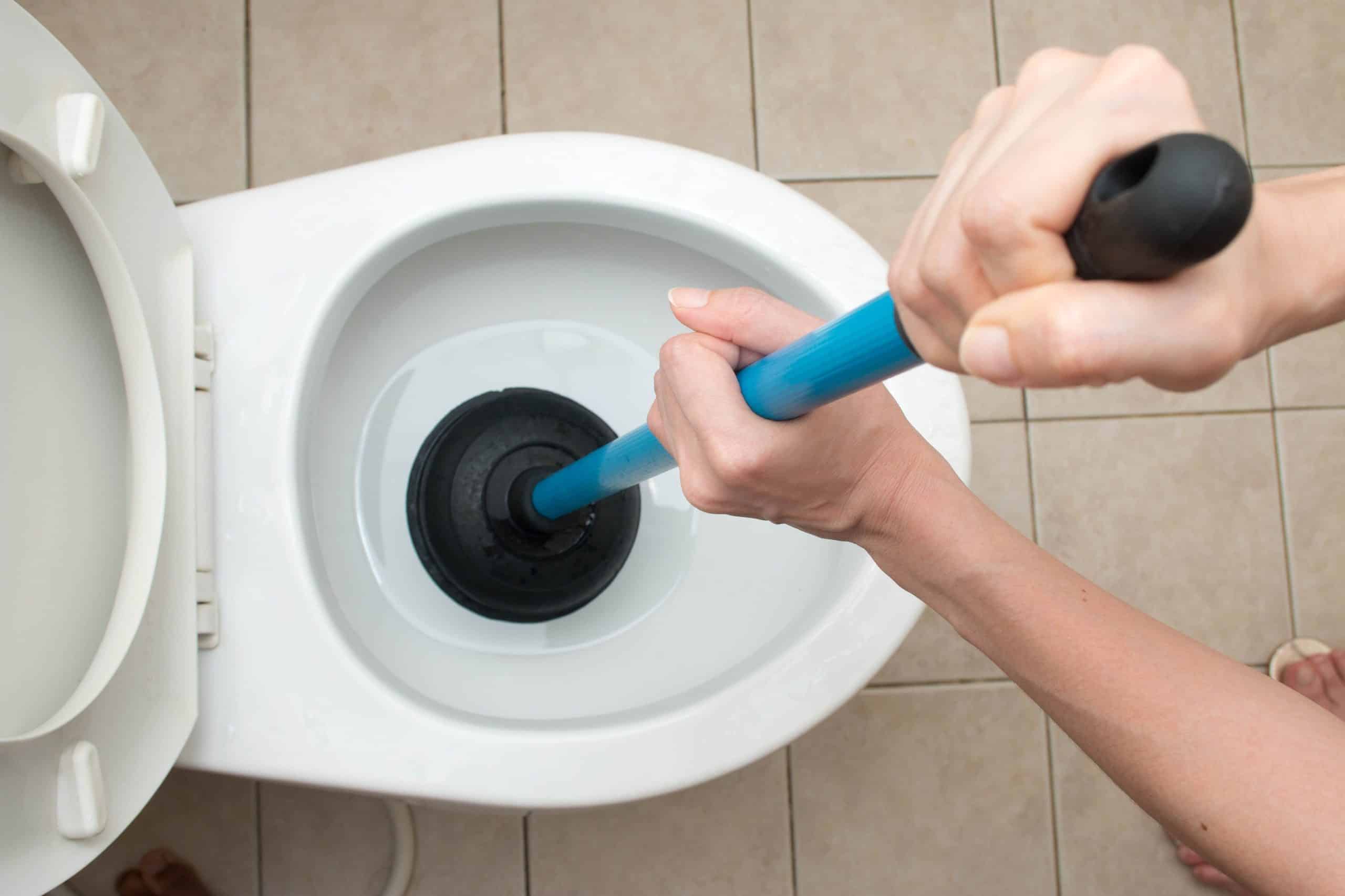 8 solutions miracles pour déboucher les wc à coup sûr