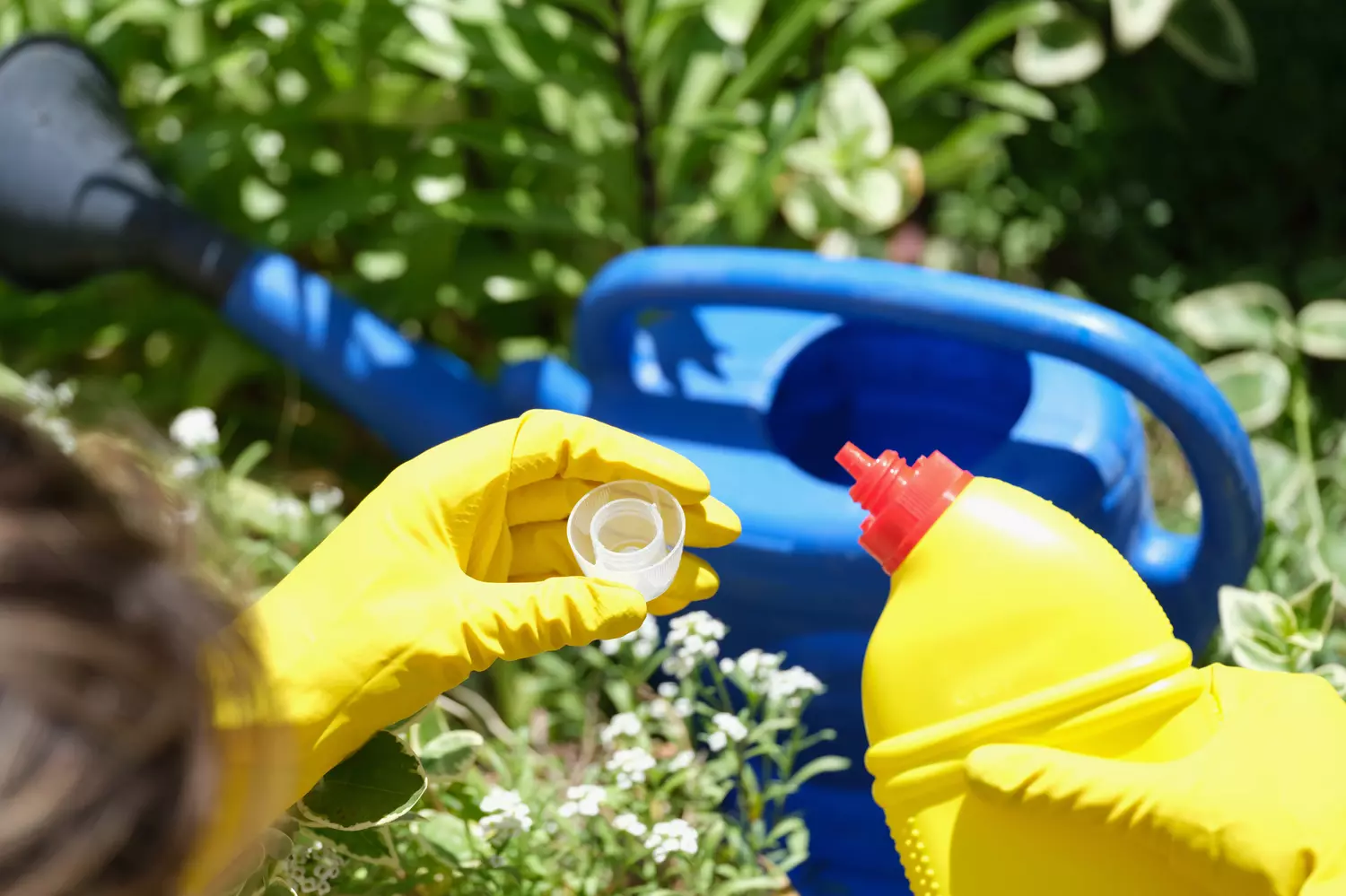 attention ne mélangez jamais ces deux produits désherbants, un vrai danger pour la santé et l'environnement
