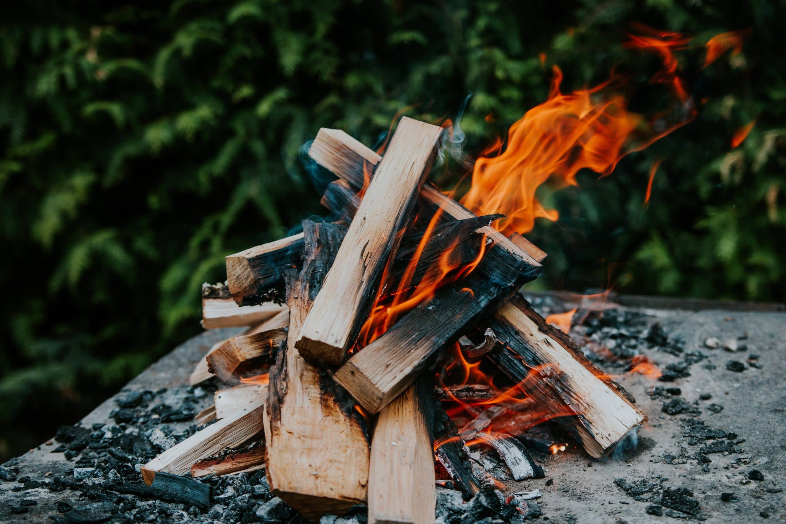 bois de chauffage ce type de bûche méconnu est 3 fois plus rentable que du bois ordinaire