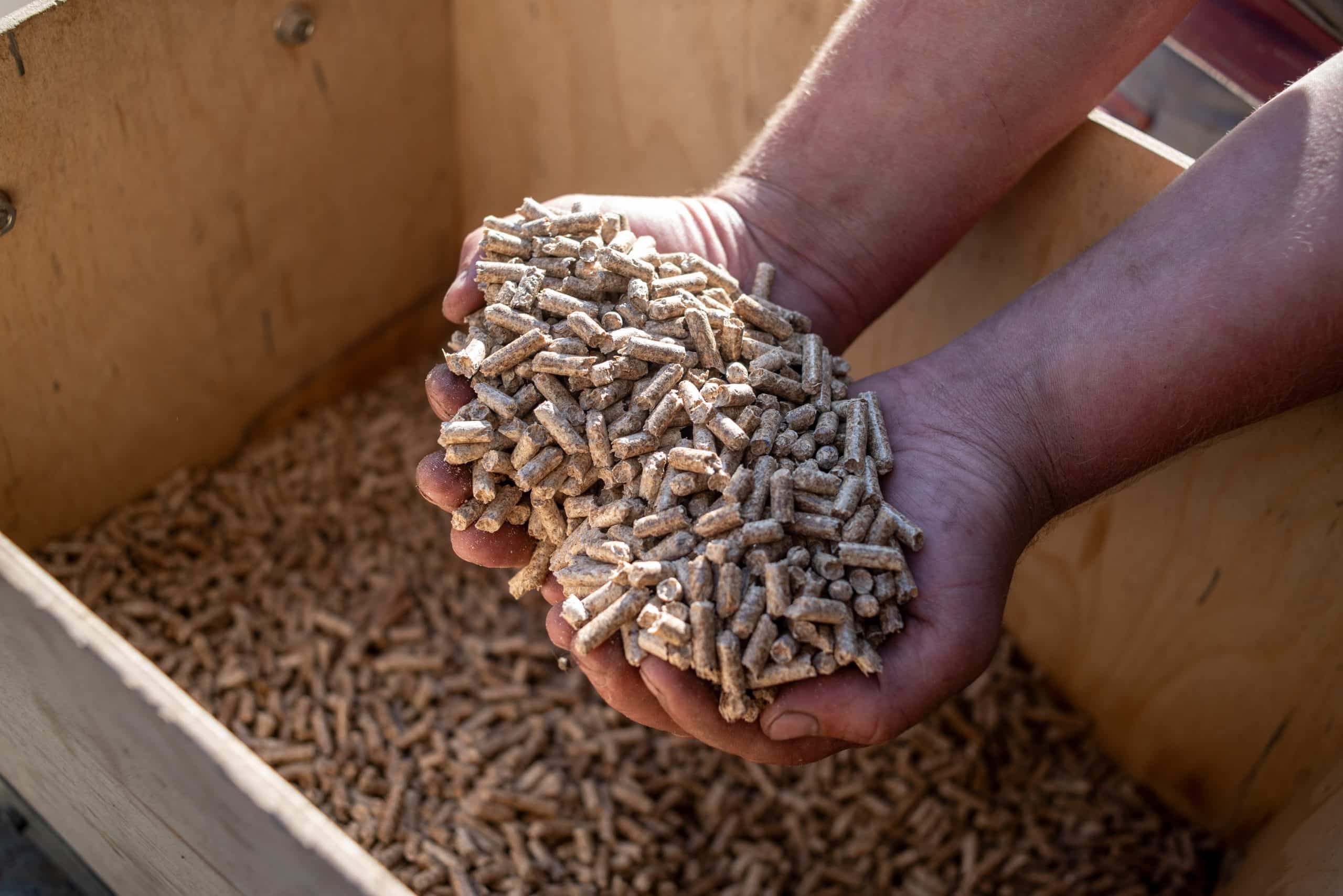 cette alternative révolutionnaire pourrait définitivement remplacer les granulés de bois