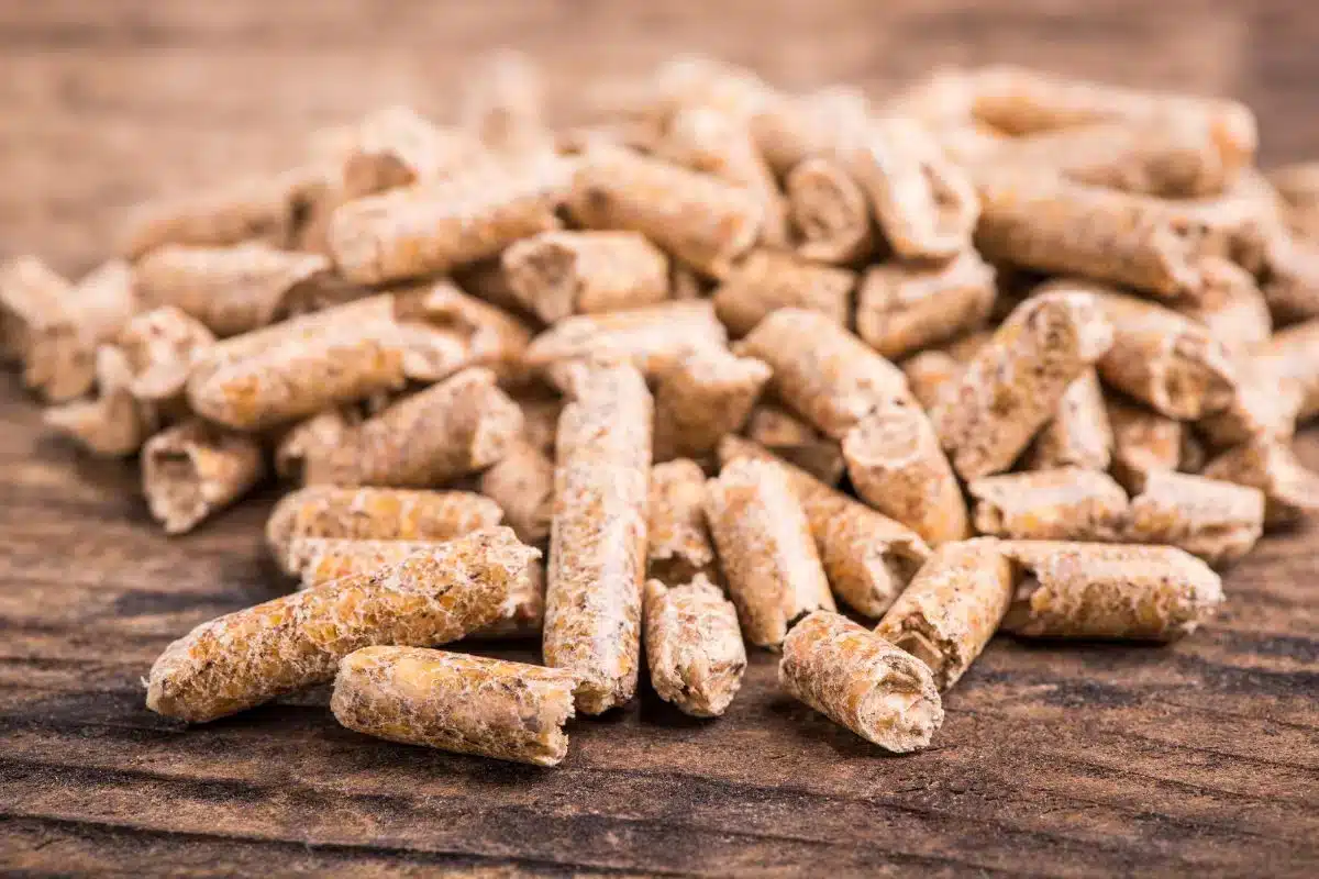 cette invention géniale transforme un élément du quotidien en pellets de chauffage écologiques