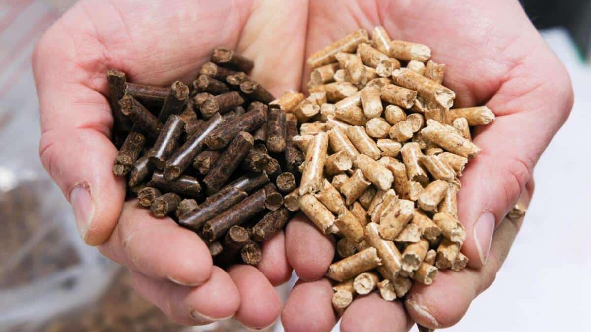 cette invention révolutionnaire transforme un élément du quotidien en pellets de chauffage