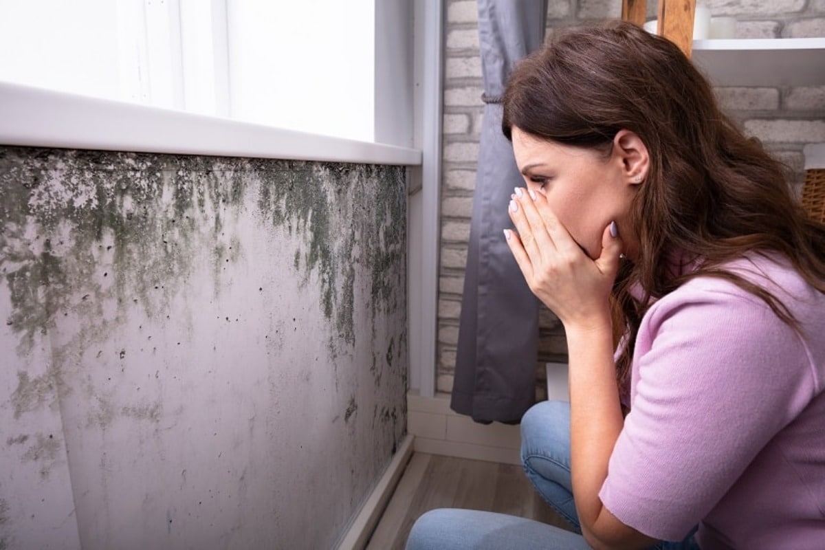humidité dans la maison cette ingrédient à moins de 2 euros est la solution naturelle la plus efficace