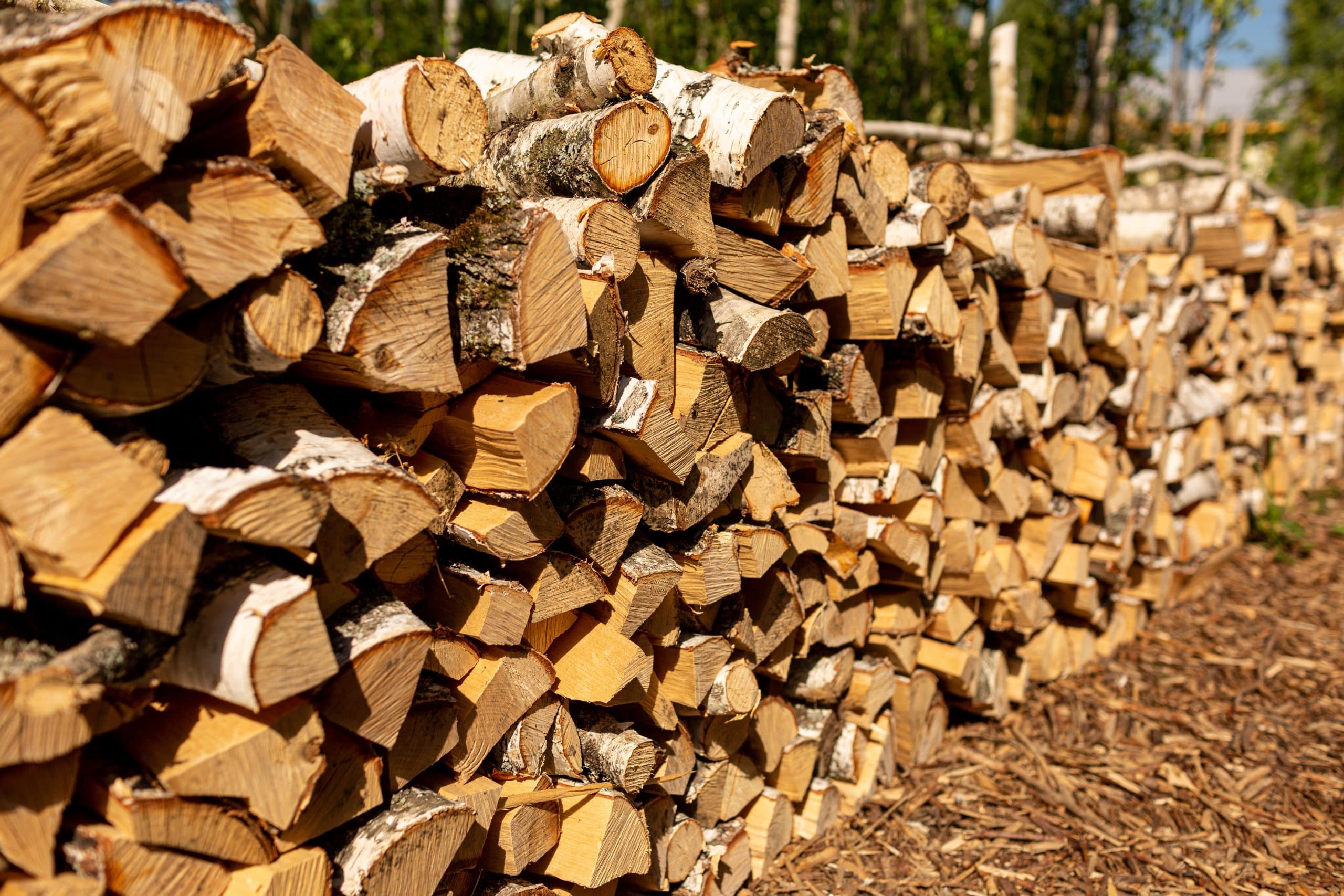 Prix d'un stère de bois en 50 cm en octobre 2024