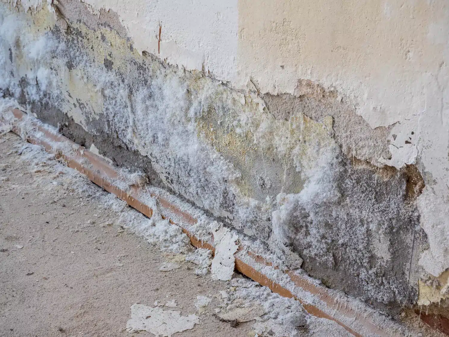 salpêtre dans les murs causes, dangers et traitements