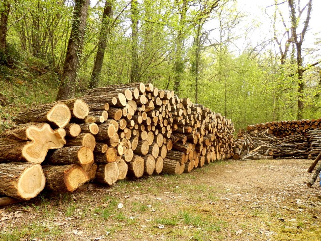 bois de chauffage en 2 mètres
