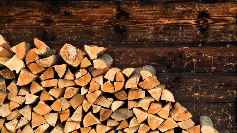 bûches de bois en 50 cm
