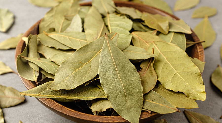 feuilles de laurier contre les mites alimentaires