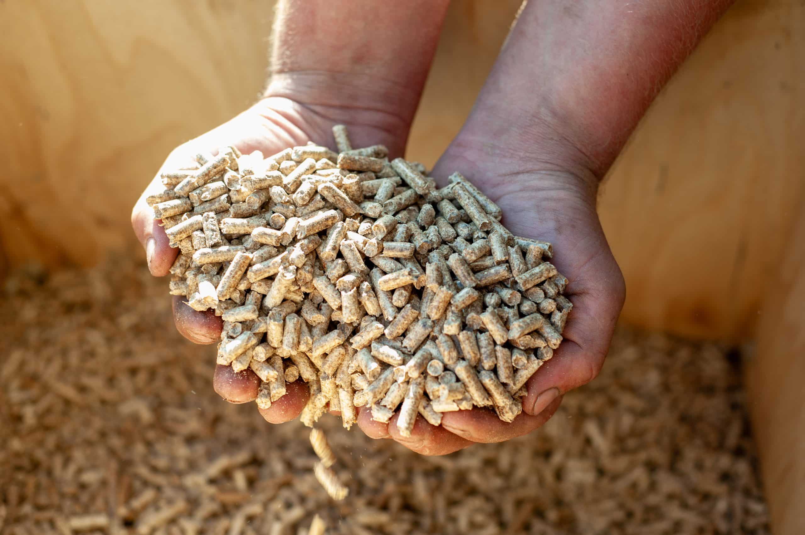 adieu bûches et pellets cette solution gratuite et écologique permet de se chauffer sans débourser 1€