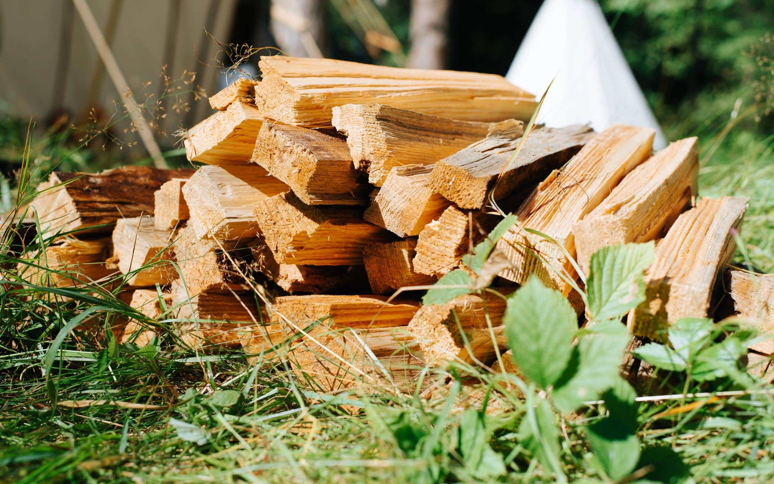 Bois de chauffage le prix d'un stère de bois augmente pour 7 millions de Français cet hiver 2024