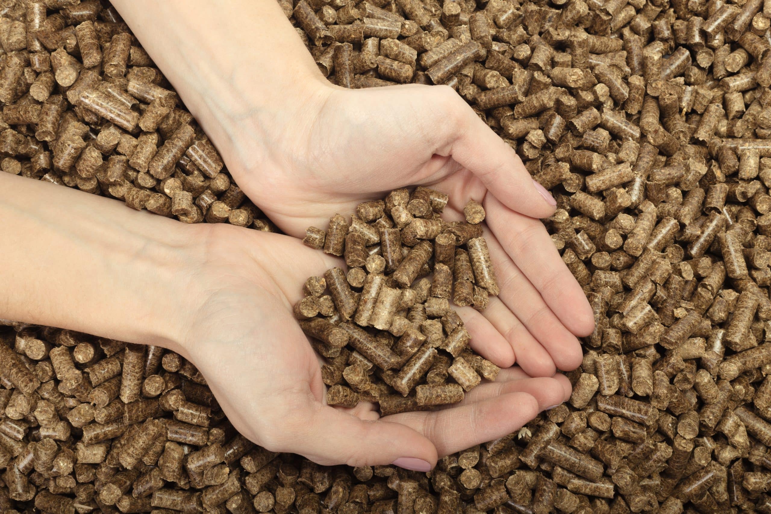 Dites ciao aux pellets et au bois de chauffage cette alternative moins chère et écologique va tout changer