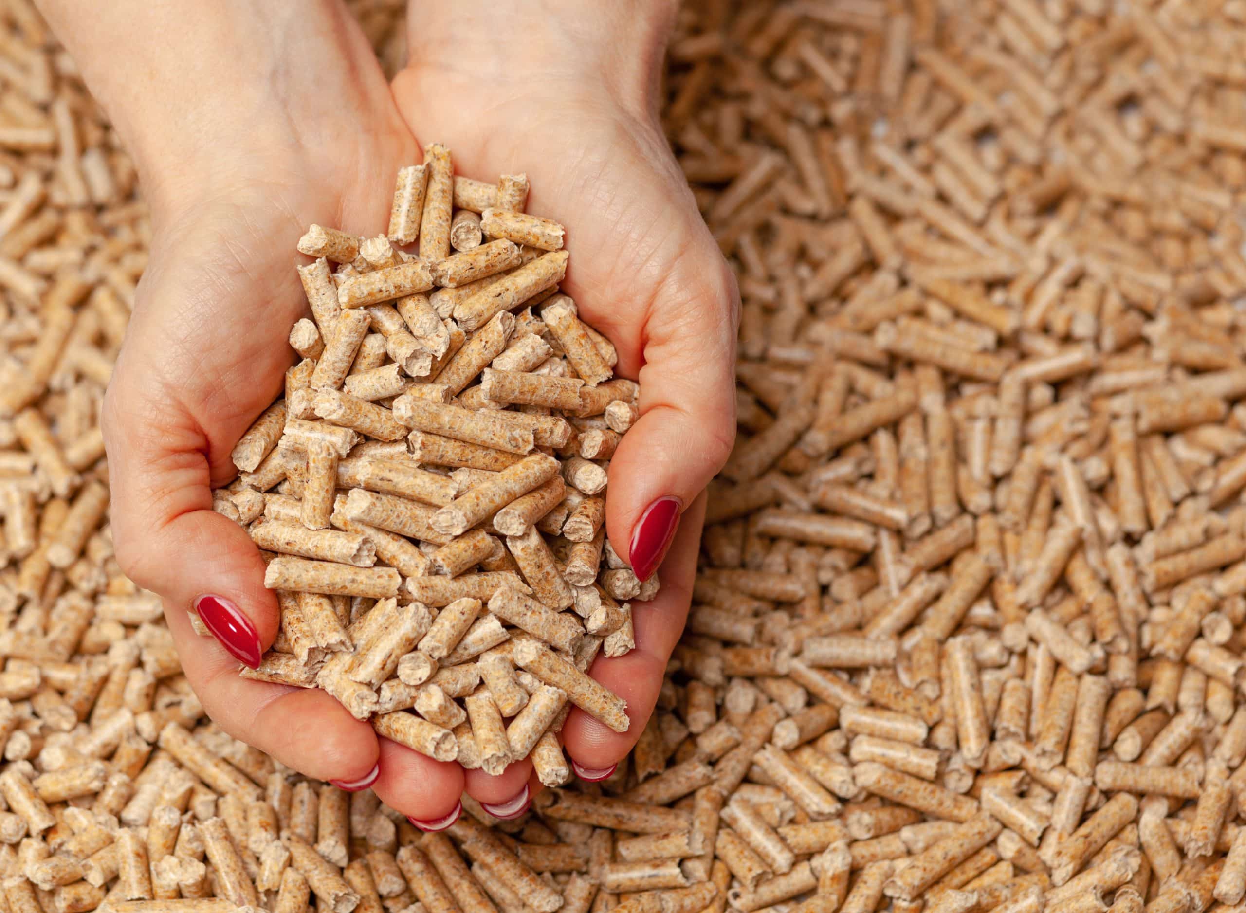 Pellets à prix cassé une association lance un groupement d’achat imbattable, c'est le moment de commander