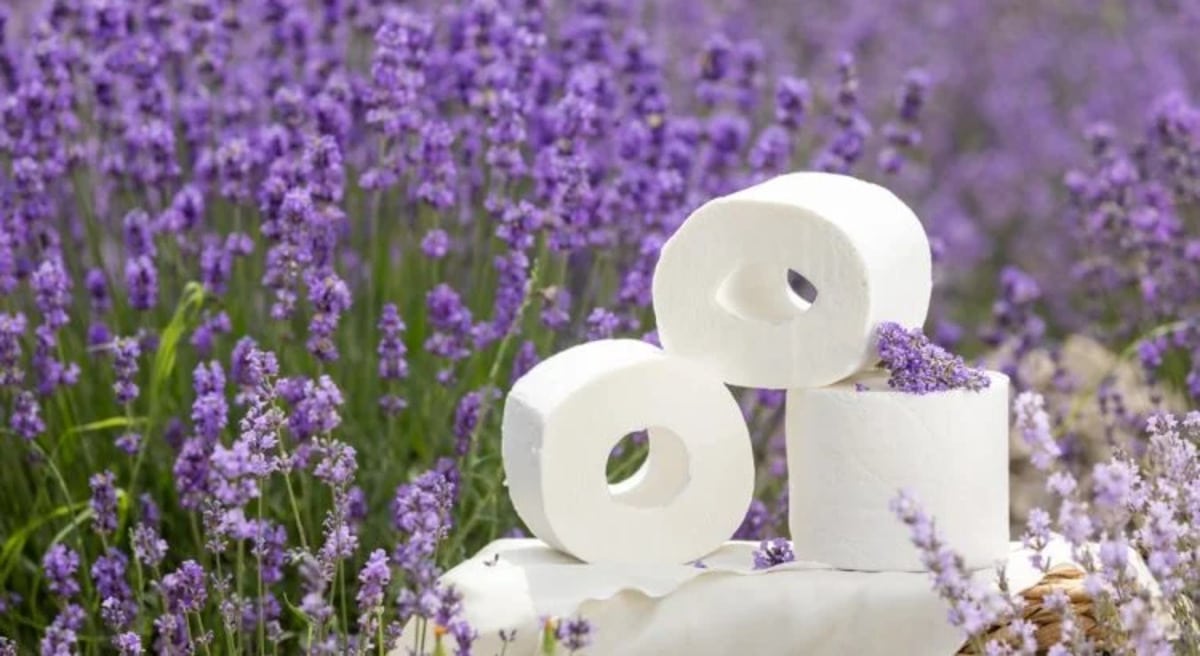 plus besoin d'acheter du papier toilette il est possible de le faire pousser dans son jardin