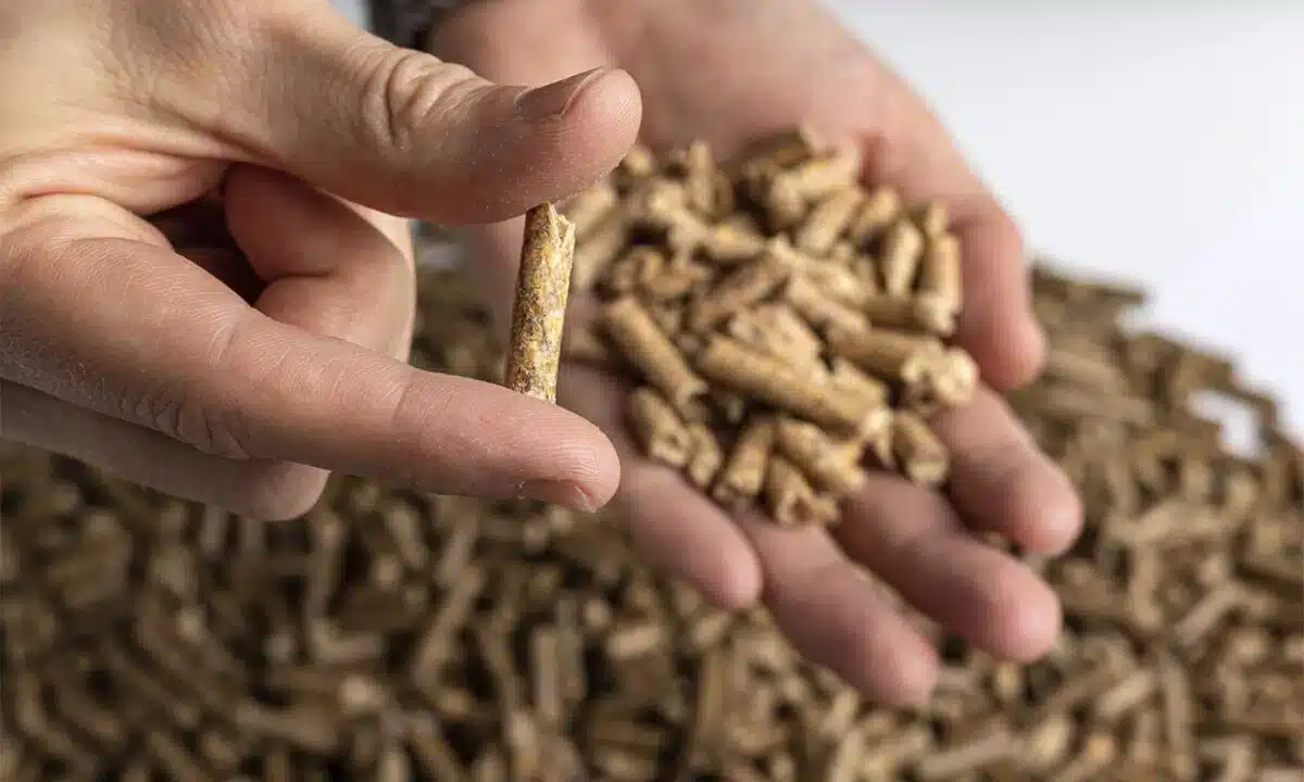 poêle à pellets ces 5 erreurs communes qui entraînent de grosses dépenses